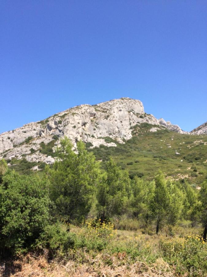 La Maison Des Sources Hébergement de vacances Salon-de-Provence